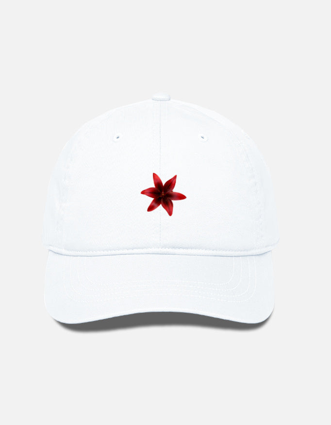 Front_1_c_1.jpg